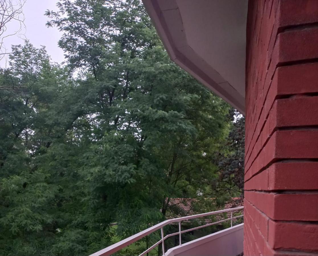 Lake Maggiore 2 Minutes Apartment Дормелето Екстериор снимка